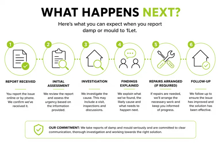 We take reports of damp and mould seriously and are committed to clear communication, thorough investigation and working towards the right solution.
