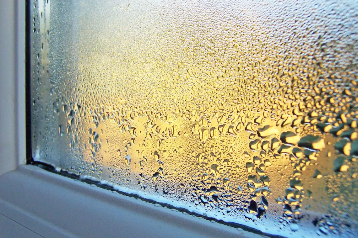 Damp and mould can have a range of causes. Understanding the source of the moisture is the first step towards finding the right solution.